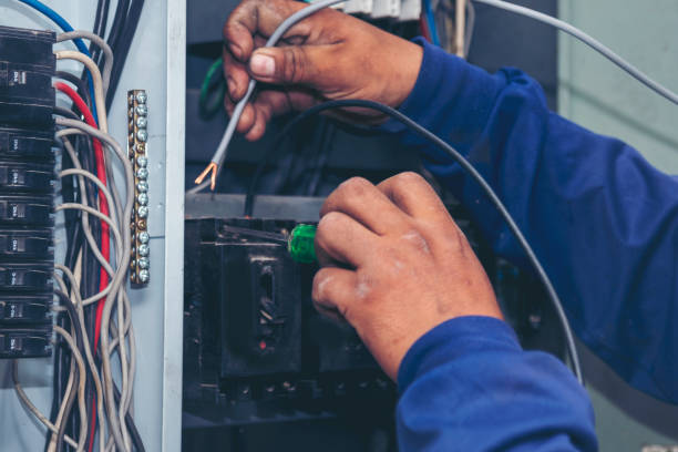 Best Ceiling Fan Installation Electrician  in Lino Lakes, MN